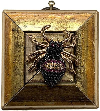 דבורי מוזיאון - מסגרת מוזהבת w/Sparkle Spider - 1.75