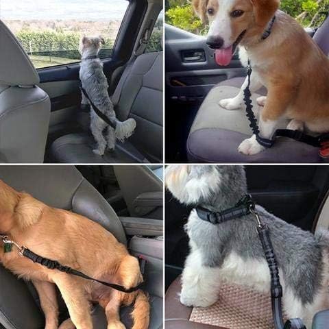 חגורת בטיחות כלבים, רצועת מכונית חיות מחמד מתכווננת לכלבים וחתולים גדולים בינוניים קטנים, חגורת בטיחות רכב לחיות מחמד עמידה, עם חיץ ניילון
