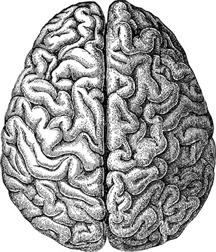 מבט עליון במוח שחור ולבן 4x6.2 ארהב אמריקה מדבקות מדבקות מדבקות דת ויניל - עשוי ונשלח בארהב
