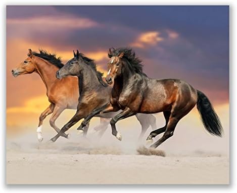 סוס בהשראת יופי במדבר : חלון ראווה של כוח ויופי של סוס-קיר אמנות דקור ממוסגר פוסטר הדפסי