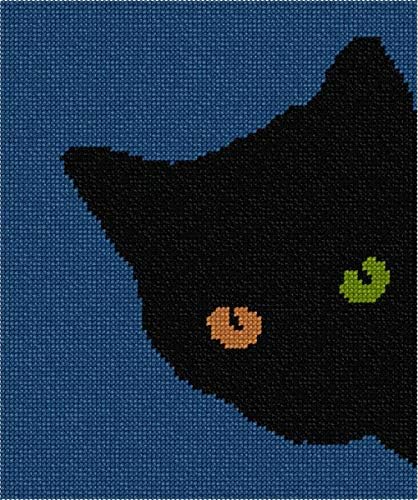 ערכת מחט פפיטה: עיני חתול בצבע שונה, 7 איקס 8