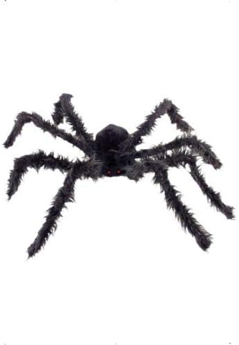 סמיפי ענק שעיר עכביש עם אור עד עיניים גודל: אחד גודל