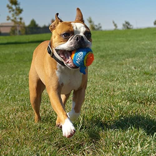 נרף כלב טניס כדור בלאסטר כלב צעצוע, 16 אינץ בלאסטר עם 3 כדורים, ירוק