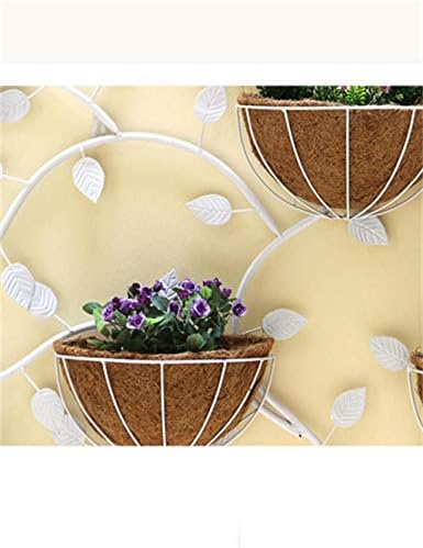 דוכן צמח MKKM אירופאי קיר ברזל יצירתי מתלים פרחים מתלים/עציצי פרחים תלויים מדף/קישוט קיר מקורה מחזיק פרחים מדף פרחים רב שכבות, 3