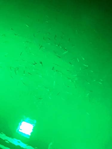 אלומיגלו דוקפרו 16000 מעל אור עגינה של LED ירוק מים