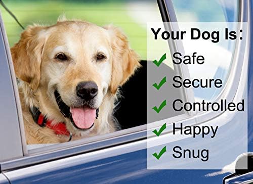 כלב רכב רתם חגורת בטיחות סט, כלב אפוד רתם מתכוונן רשת לנשימה & מגבר; רכב בטיחות חגורת בטיחות לקשור עם אלסטי באנג ' י שליטה קלה עבור נהיגה