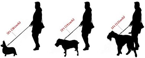 רצועות כלבים של Aiyidi פלדת אל חלד רצועות שרשרת כלבים כסף חזקה-חוסכת עבודה, בטוחה, עמידה בלאי, רצועות כלבים אטומות למים 1ft, 2ft, 3 רגל,